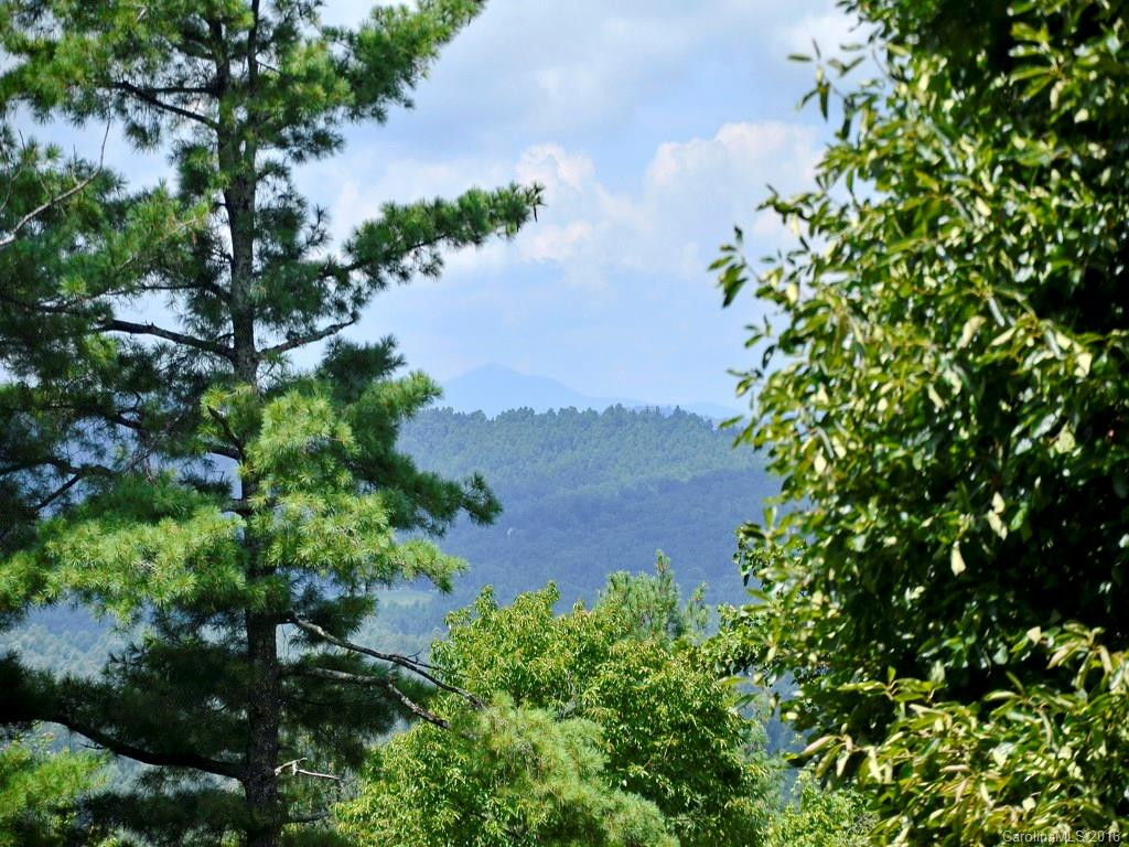 393 Daytona Lane - Photo 9