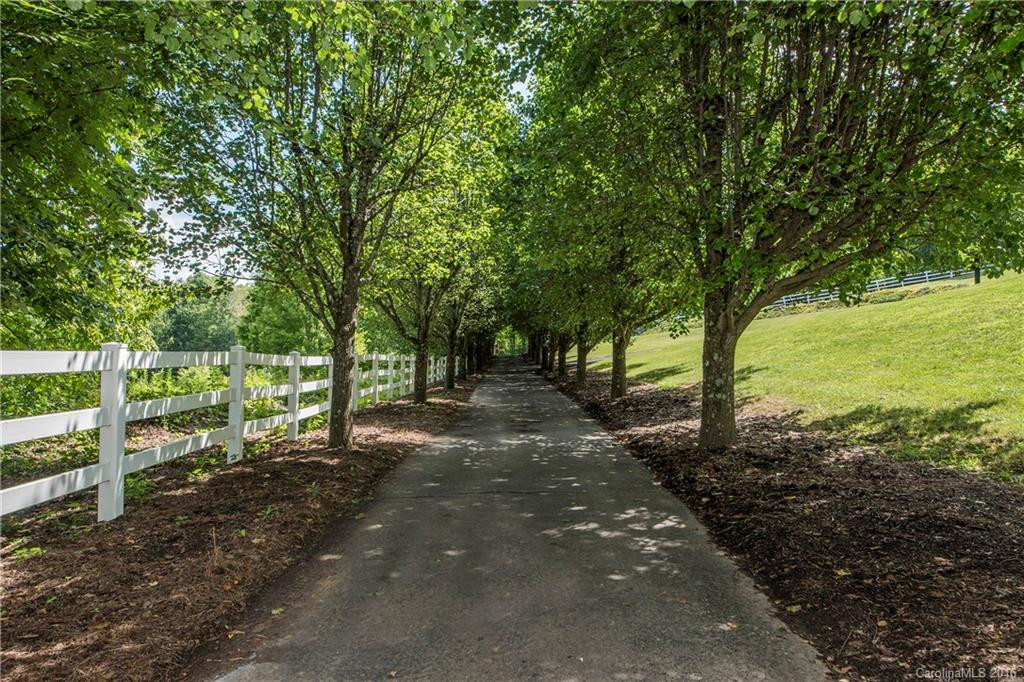 1180 Saunook Road - Photo 10