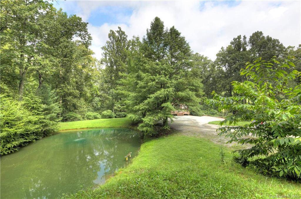 1200 Bearwallow Road - Photo 20