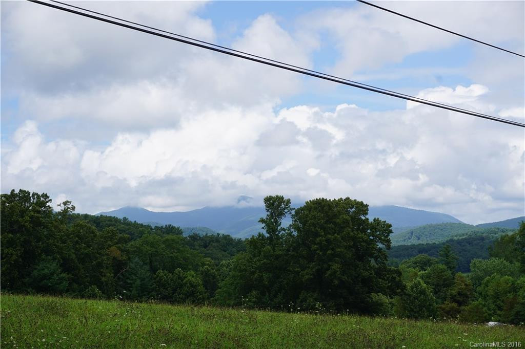 831 Dale Road - Photo 2