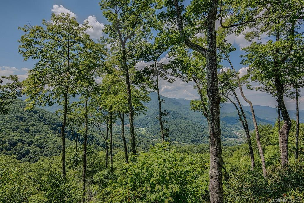 279 Walela Trail - Photo 8