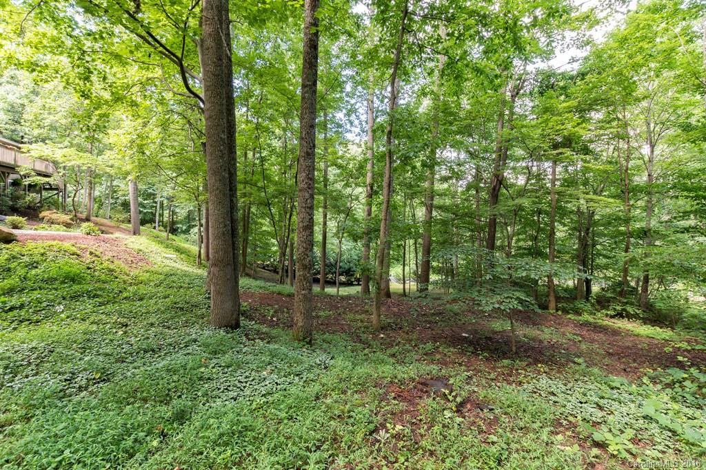12 Beech Tree Lane - Photo 5
