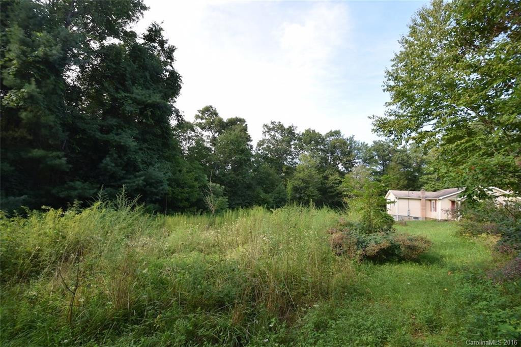 1248 Brushy Creek Road - Photo 5