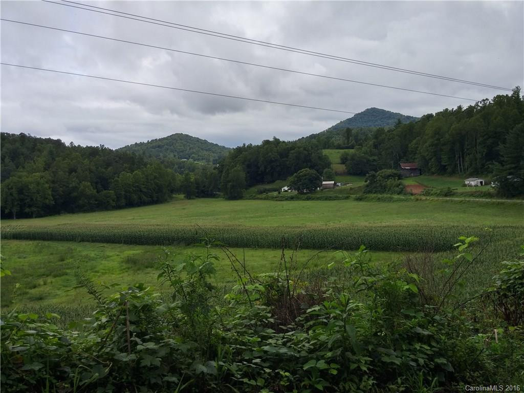 2010 Sandy Mush Road - Photo 2