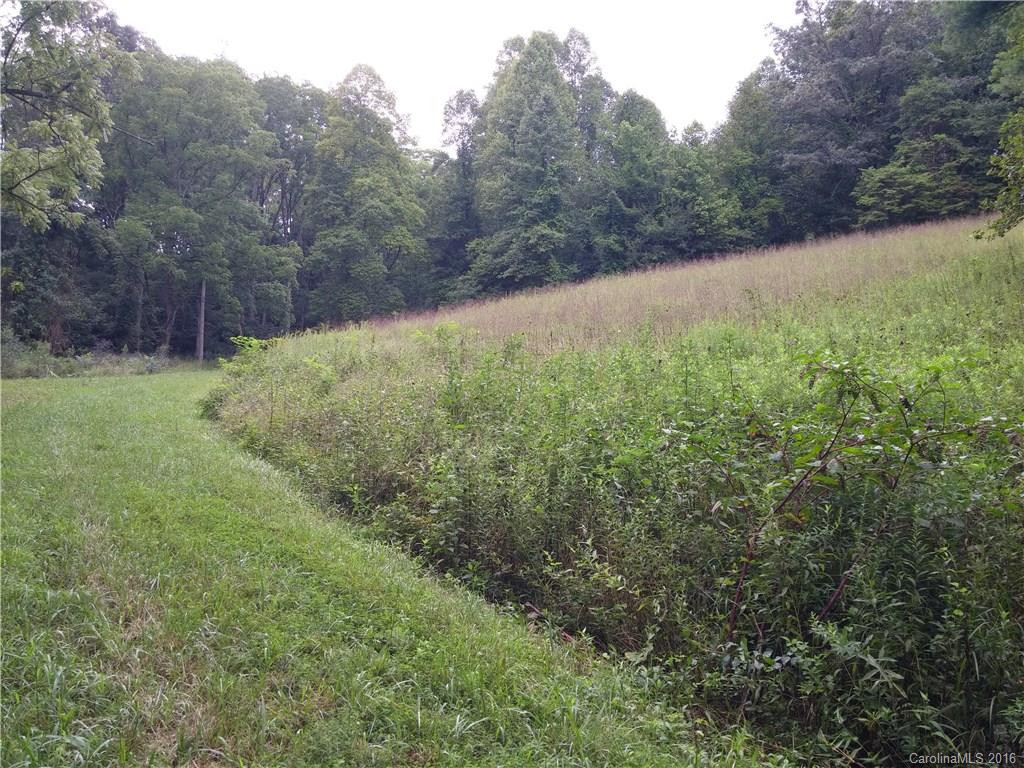 2010 Sandy Mush Road - Photo 11