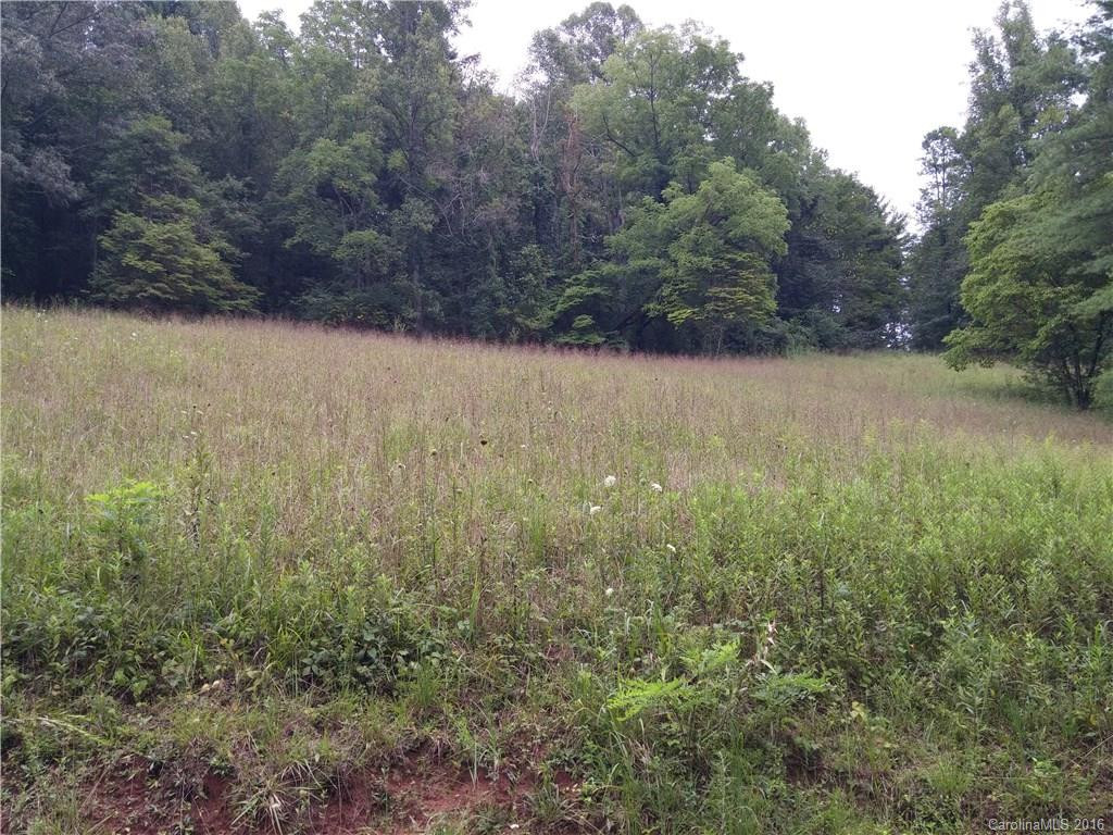2010 Sandy Mush Road - Photo 12