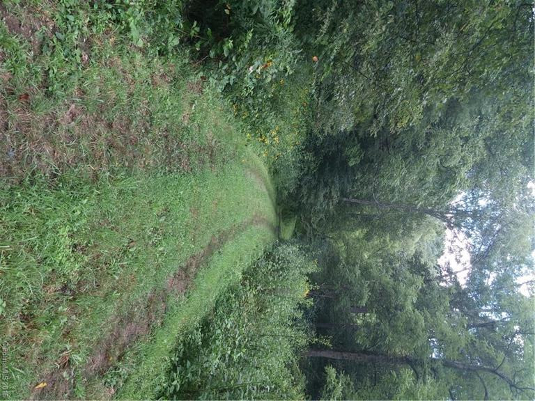 2010 Sandy Mush Road - Photo 3