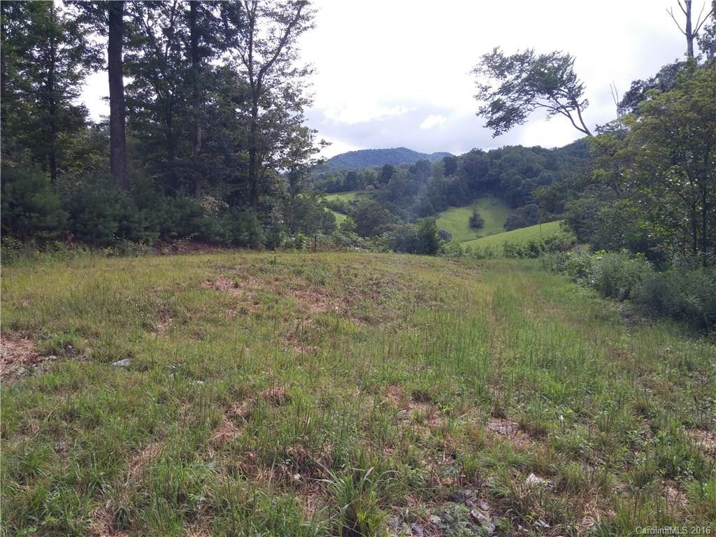 2010 Sandy Mush Road - Photo 4