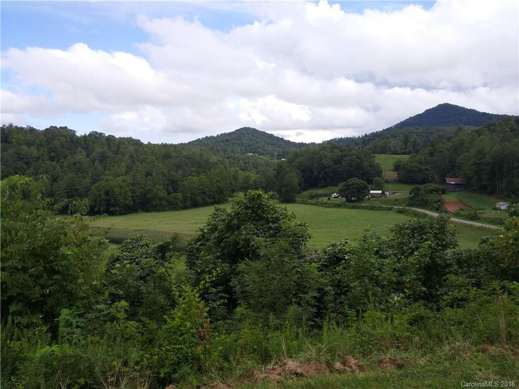 2010 Sandy Mush Road - Photo 5