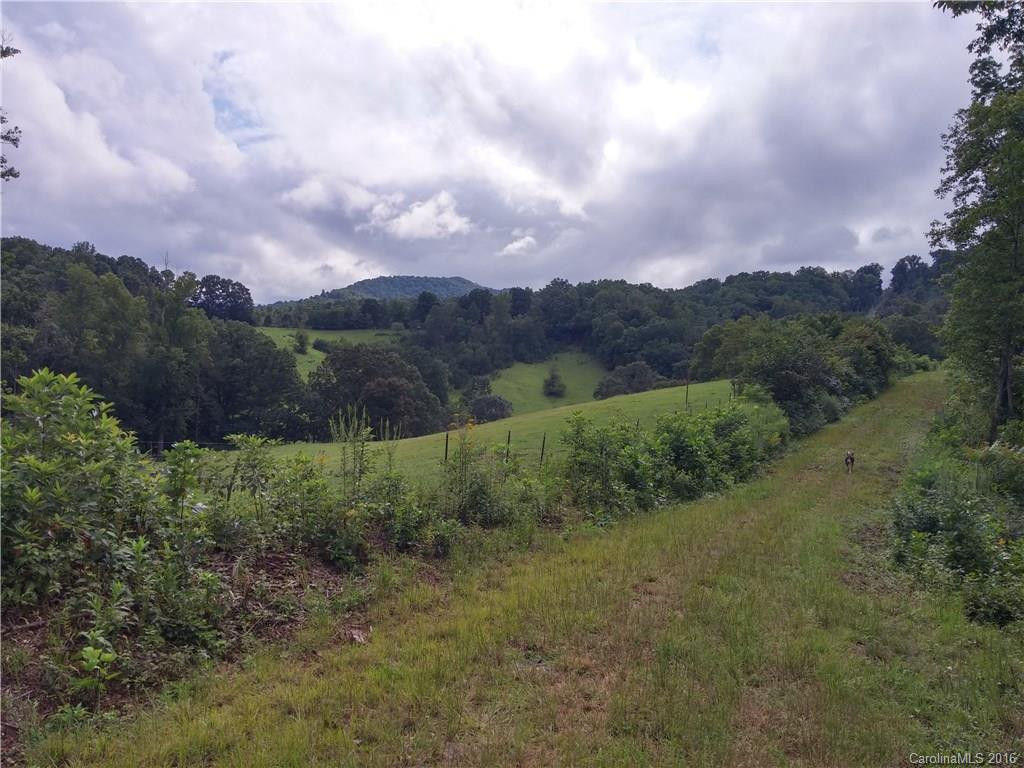 2010 Sandy Mush Road - Photo 6