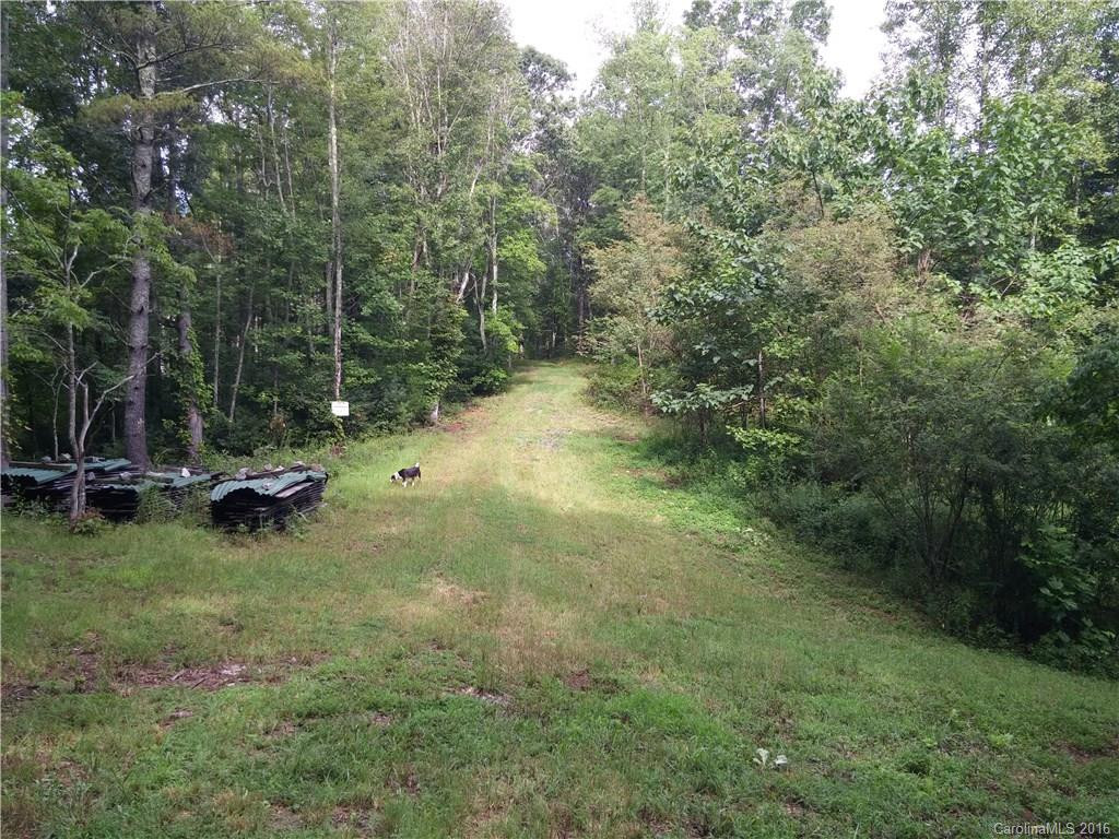 2010 Sandy Mush Road - Photo 9