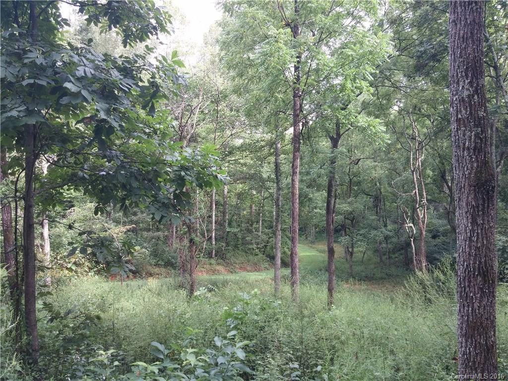 2010 Sandy Mush Road - Photo 10