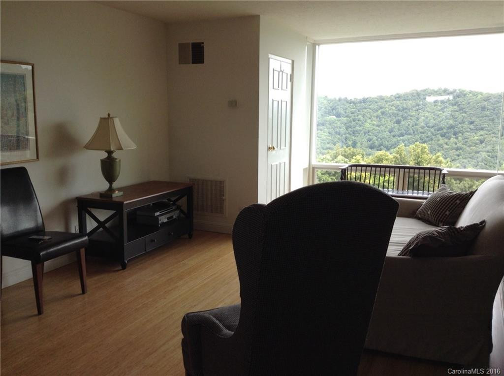 647 Town Mountain Road #509 - Photo 3