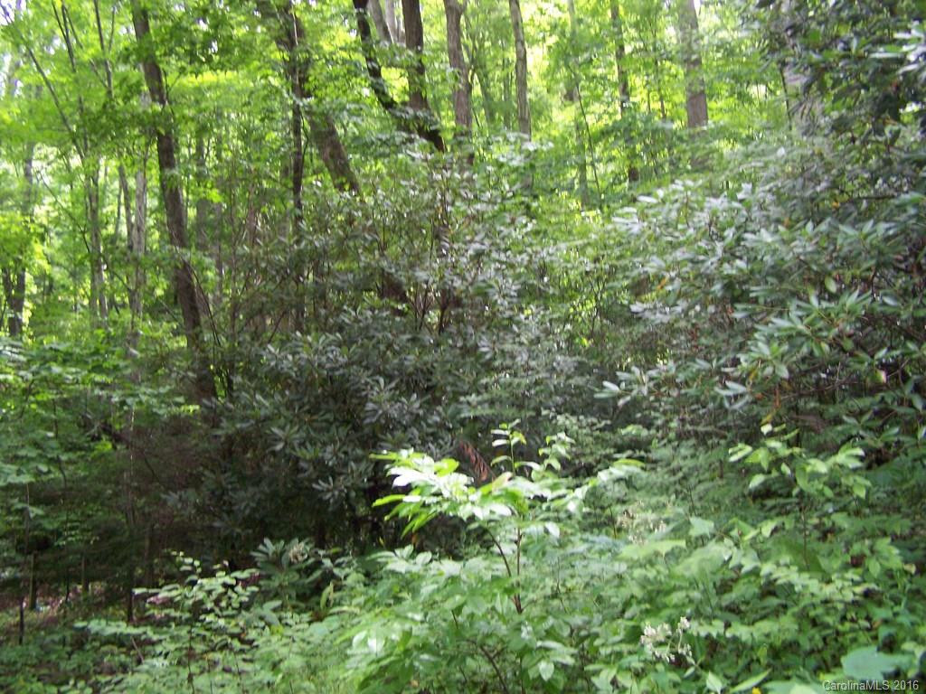 109 Frost Ridge Road #8 & 15 - Photo 22