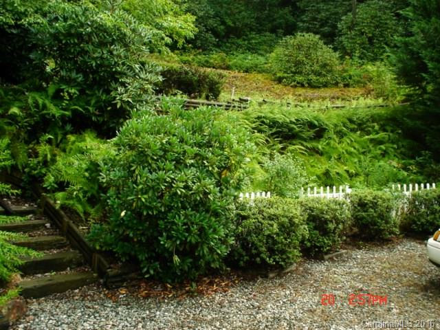 847 Turkey Pen Gap Road - Photo 4