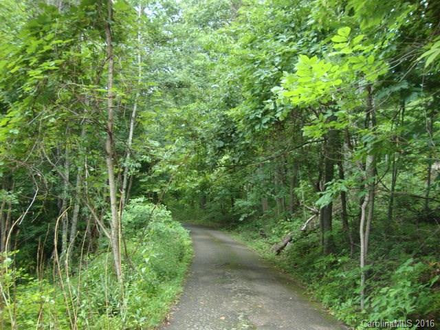 437 High Hopes Lane - Photo 18