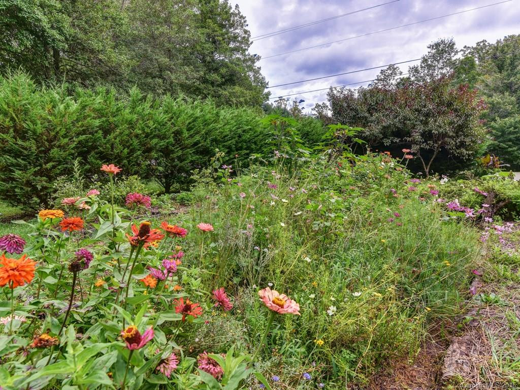 11 Dix Creek #2 Road - Photo 17