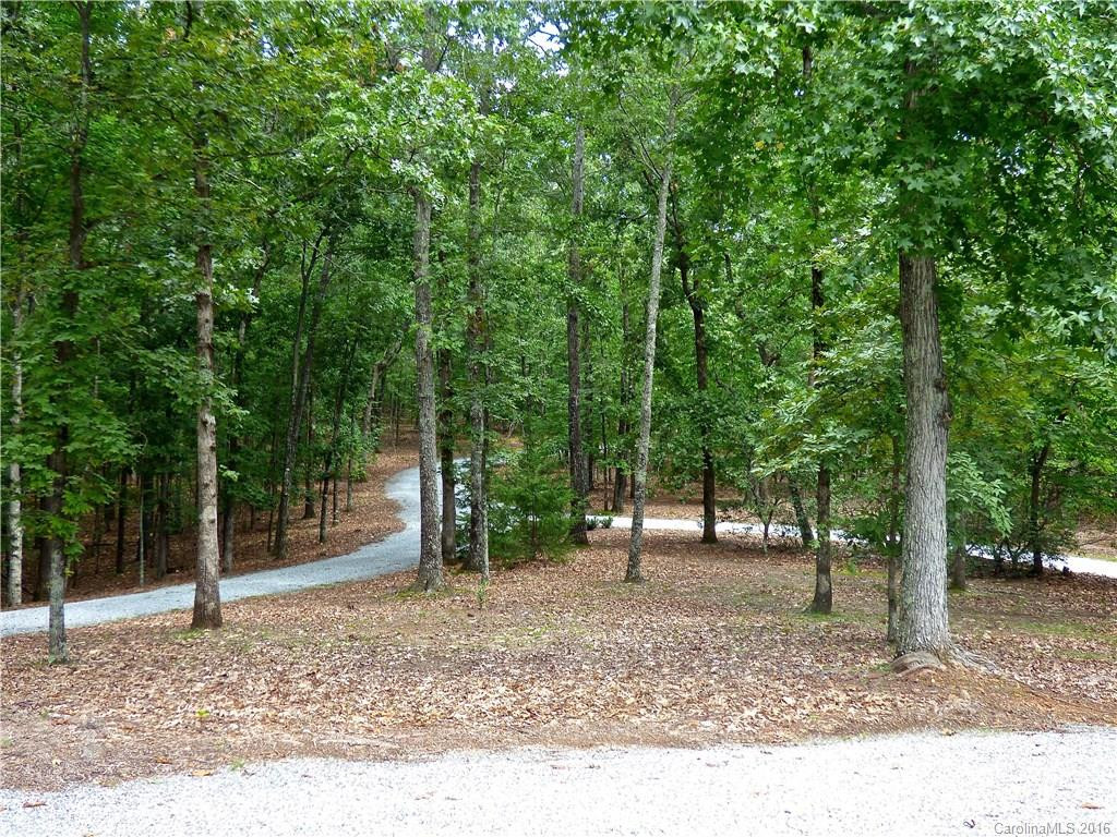 133 Coachman Lane #13 - Photo 2