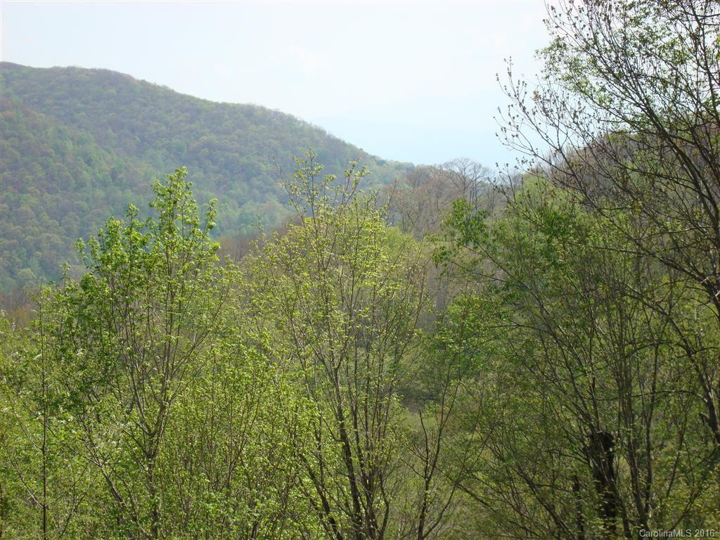 341 Ridgeway Road - Photo 3
