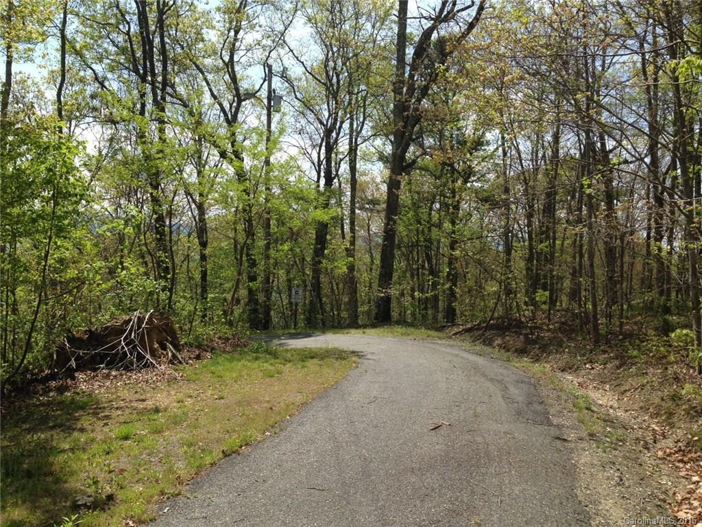 110 Weeping Cherry Forest Road - Photo 23