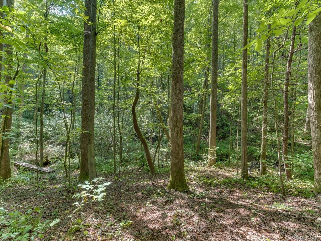 348 Big Raven Lane - Photo 23