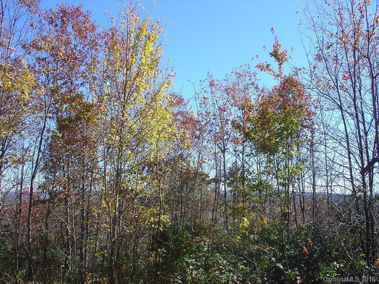 342 Laurel Hill Drive - Photo 12