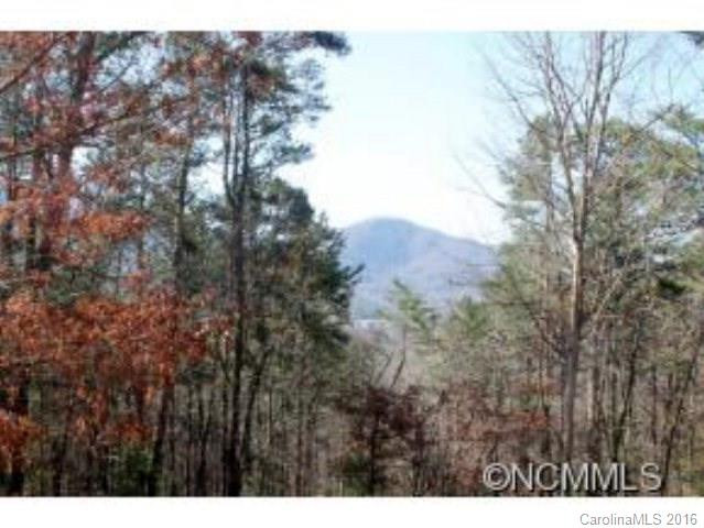 600 Black Hill Road - Photo 16