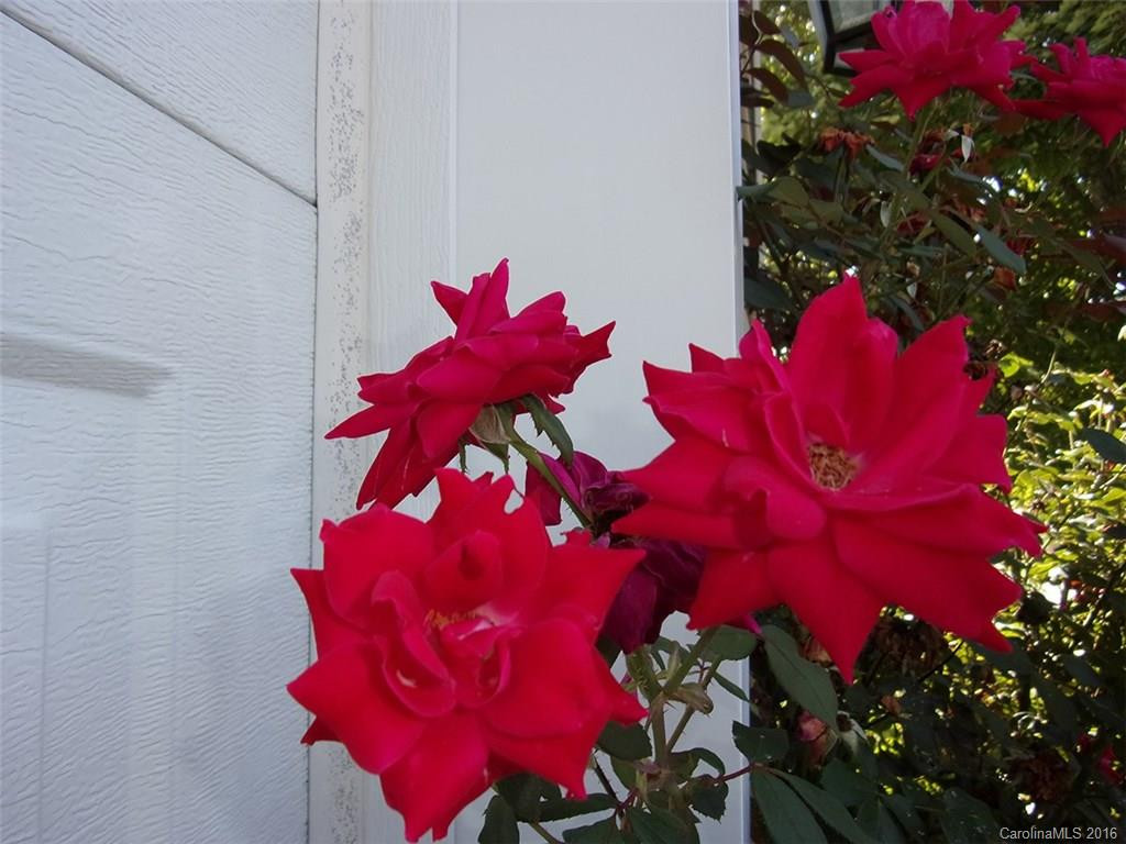 192 Cambridge Drive - Photo 12