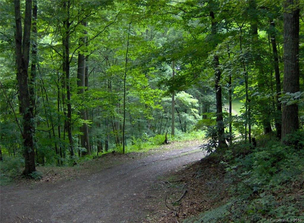 616 Clear View Lane - Photo 3