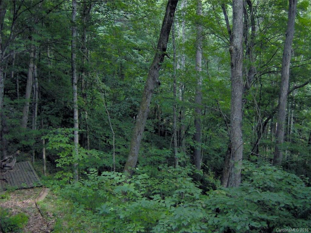 616 Clear View Lane - Photo 4