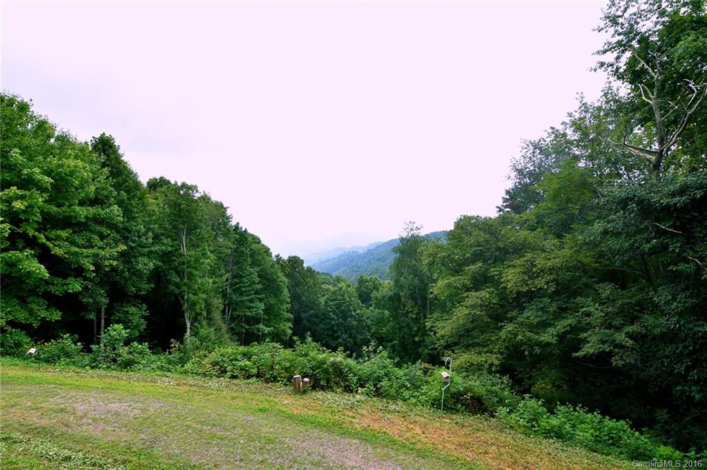 844 Rough Knob Road - Photo 3