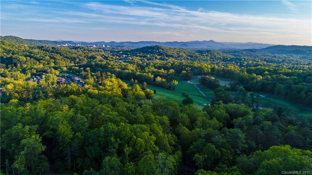 14 Elk Mountain Ridge - Photo 4