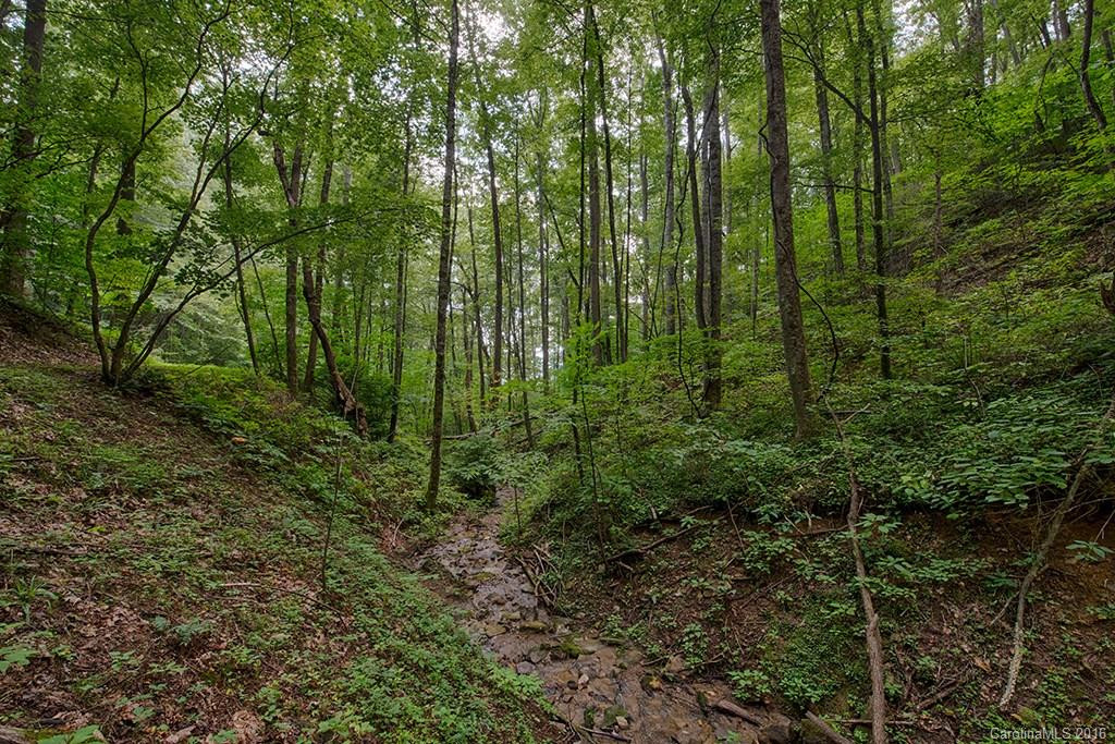 509 Forest Hill Road - Photo 6