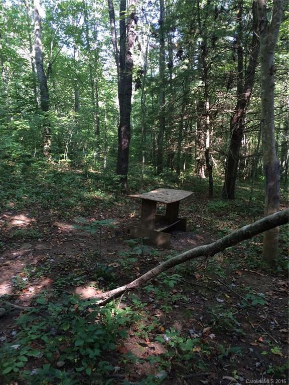 276 Long Branch Road - Photo 24