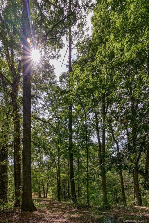 697 Long Ridge Road - Photo 11