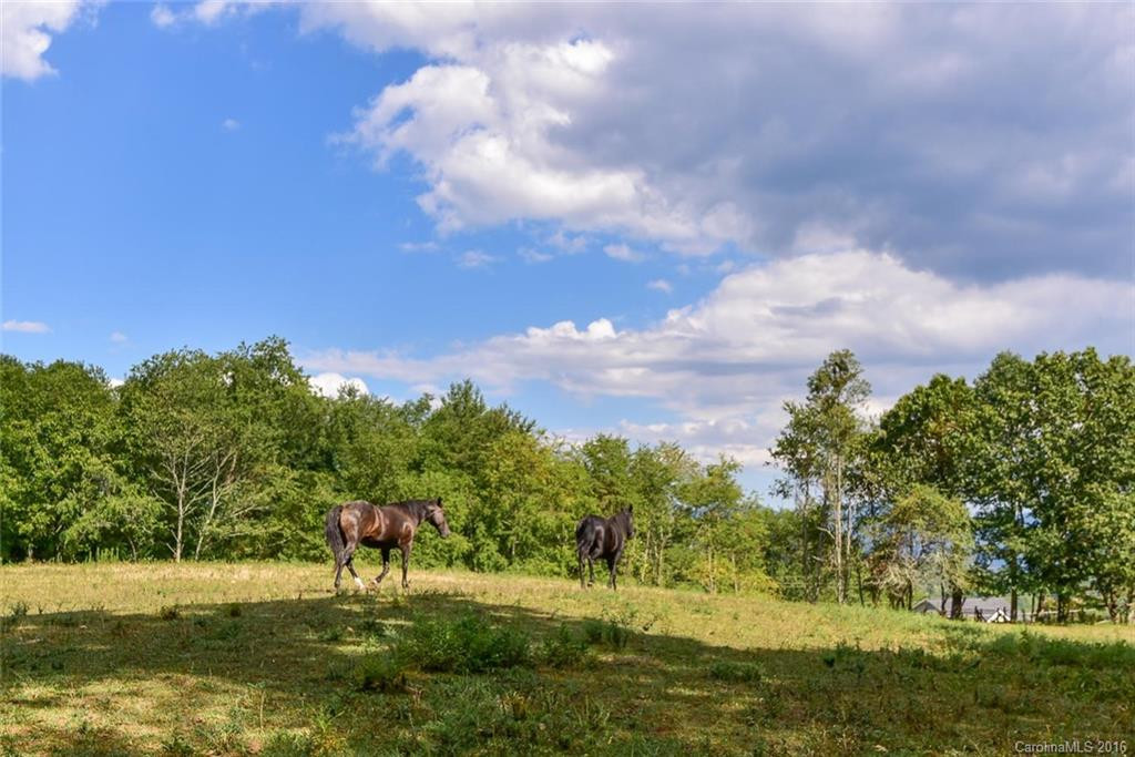 697 Long Ridge Road - Photo 6