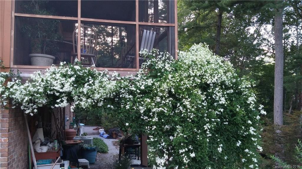 103 Mountain Place - Photo 23