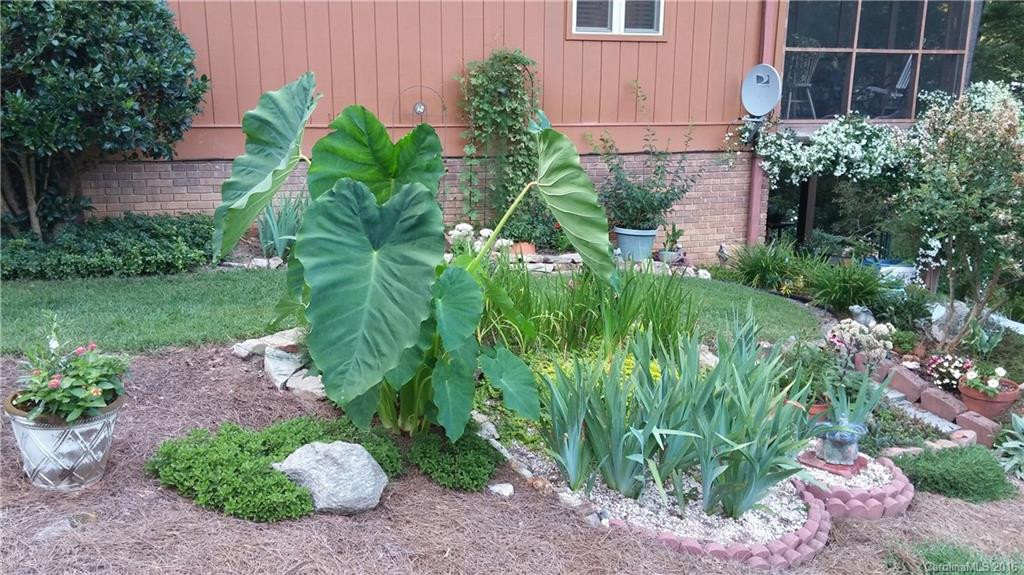 103 Mountain Place - Photo 24