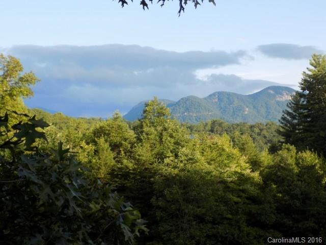 1580 Grassy Knob Road - Photo 2