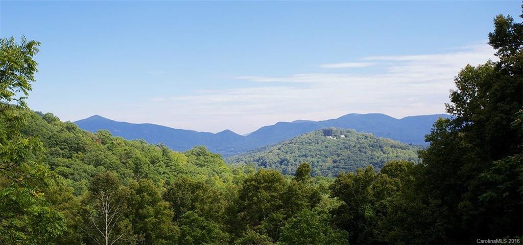 158 Chinquapin Trail - Photo 3