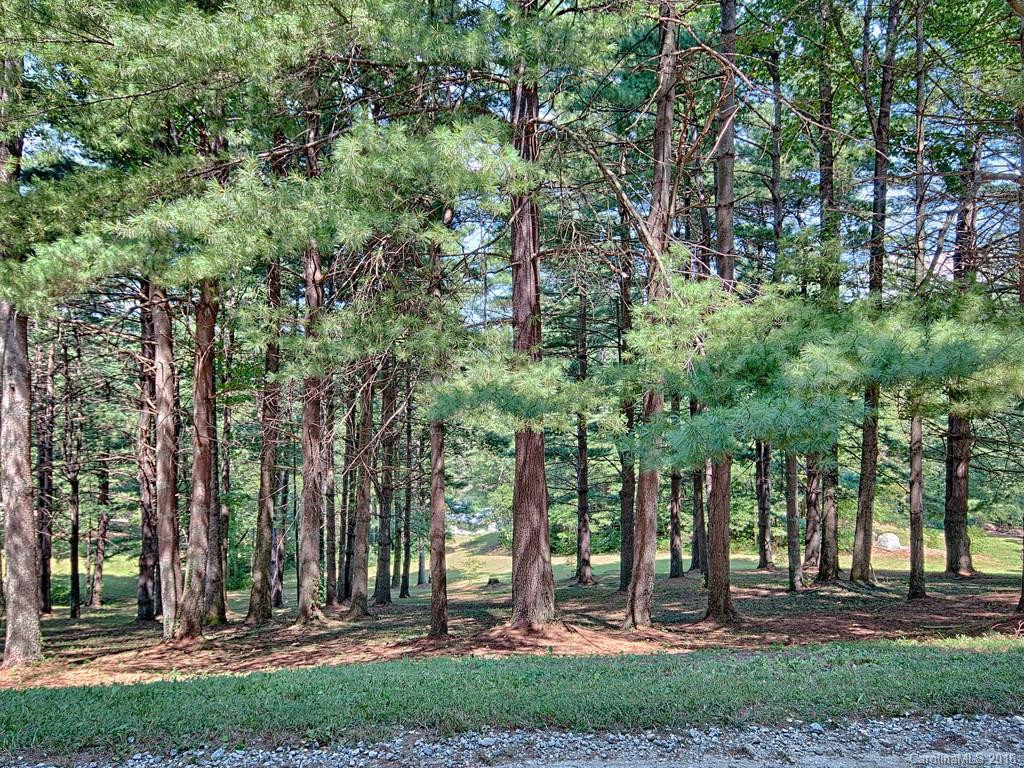 3241 Greenville Highway - Photo 24