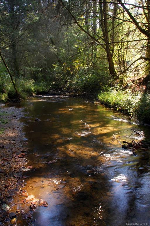 184 Lambs Creek Road - Photo 13