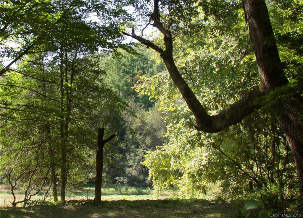 184 Lambs Creek Road - Photo 14