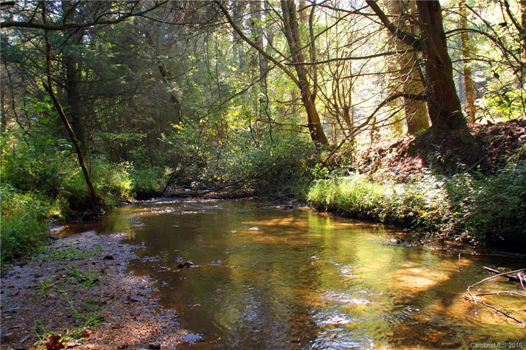 184 Lambs Creek Road - Photo 4