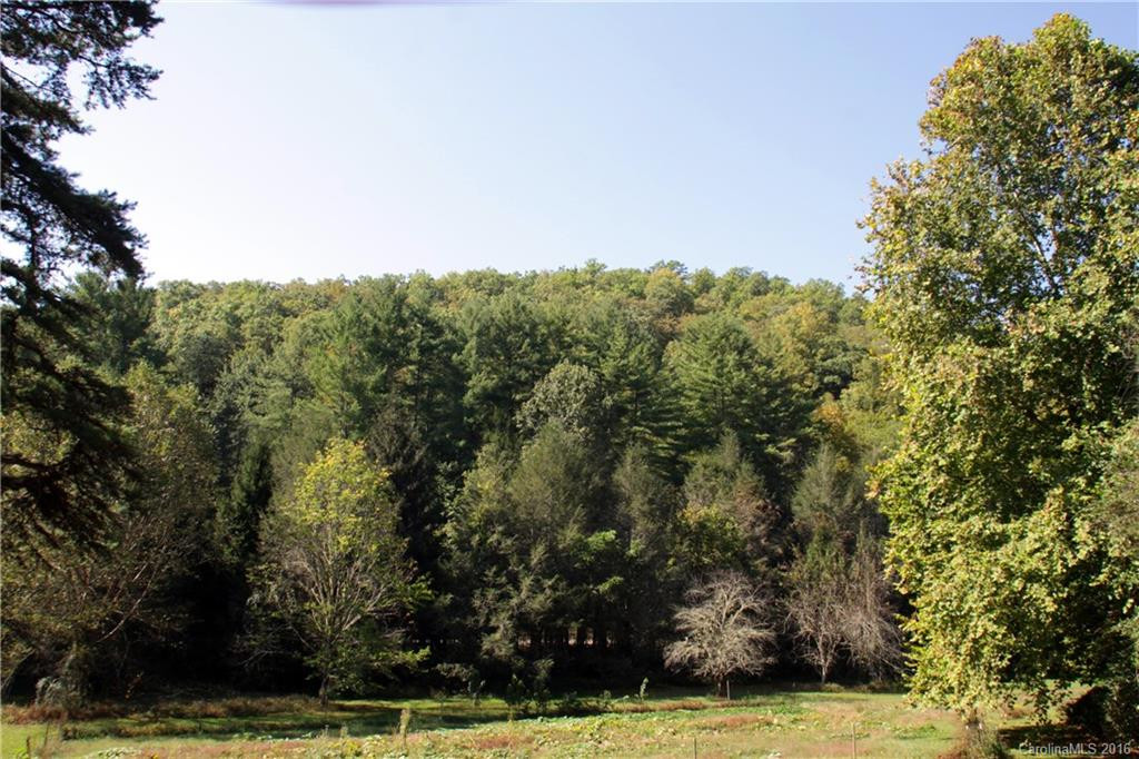 184 Lambs Creek Road - Photo 6