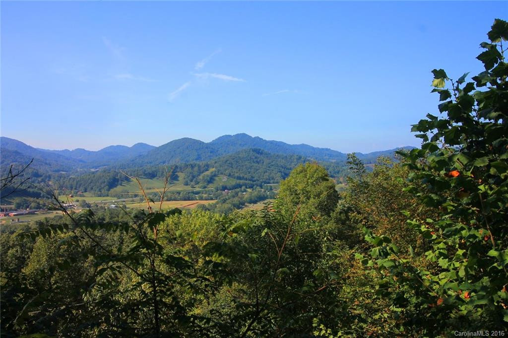 364 Blevins Knob Drive - Photo 4