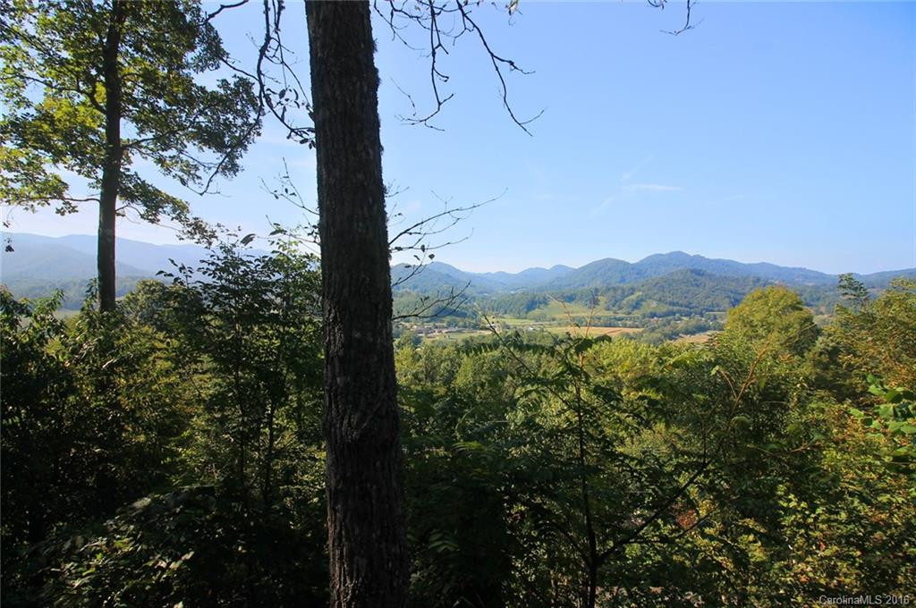 364 Blevins Knob Drive - Photo 5