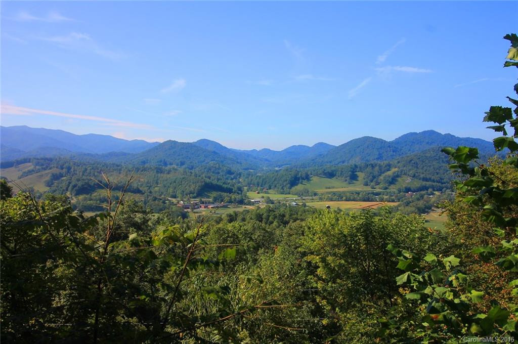 364 Blevins Knob Drive - Photo 6