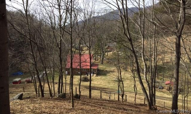 102 Cub Creek Road - Photo 7
