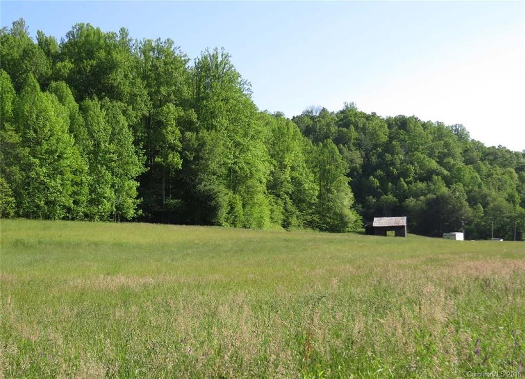 6692 Meadow Fork Road - Photo 3